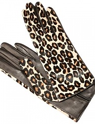 Moda Torebki Pozostałe - 520892