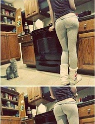 Humor - 2671088