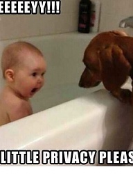 Humor - 2486350
