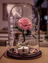Misz-masz - 3271361