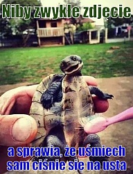 Humor - 2634541