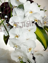 Moda Ślub Dekoracje ślubne - 760437