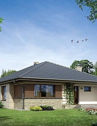 Ogród - 2975628
