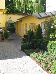 Ogród - 1685277
