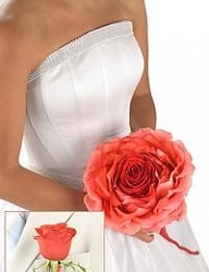 Moda Ślub Bukiety ślubne - 677104
