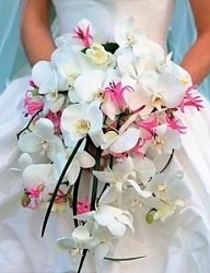 Moda Ślub Bukiety ślubne - 288202