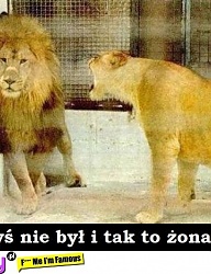 Humor - 2175065