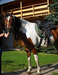 Fryzury Średnie - 872565