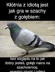 Humor - 2579218