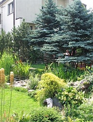 Ogród - 2548914