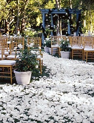 Moda Ślub Dekoracje ślubne - 2539988