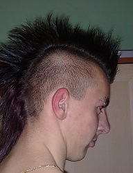 Fryzury Średnie Alternatywne Punk Rock - 435661