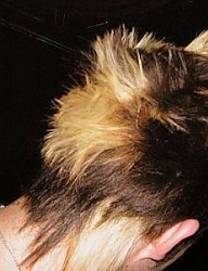 Fryzury Średnie Alternatywne Punk Rock - 633