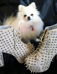 Moda Buty Pozostałe - 1366489