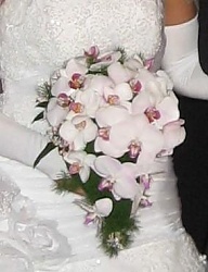 Moda Ślub Bukiety ślubne - 291496