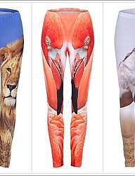 Moda Spodnie Leginsy - 1494448
