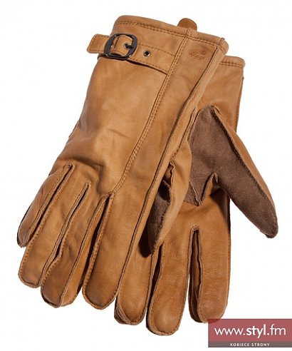 Camel Active