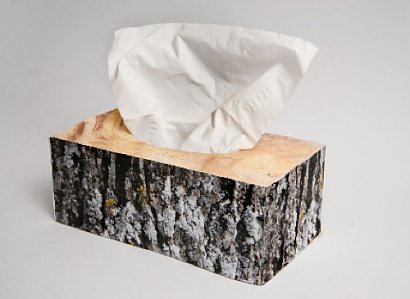 Projekt: Justin Lortie 