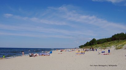 8 Krynica Morska