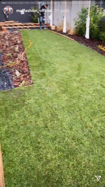 Maffashion najpierw pokazała piękny trawnik w swoim ogrodzie...
