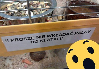 A przypadkiem nie... palców?!