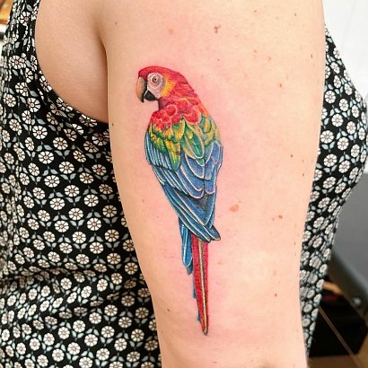 #birdtattoo - tatuaż ptaka - zobacz piękne i ponadczasowe projekty!