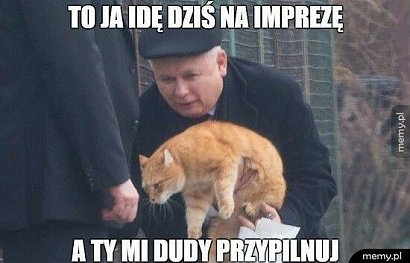 Kaczyński wyznał, że jego majątek stanowią książki i kot, który jest bezcenny.